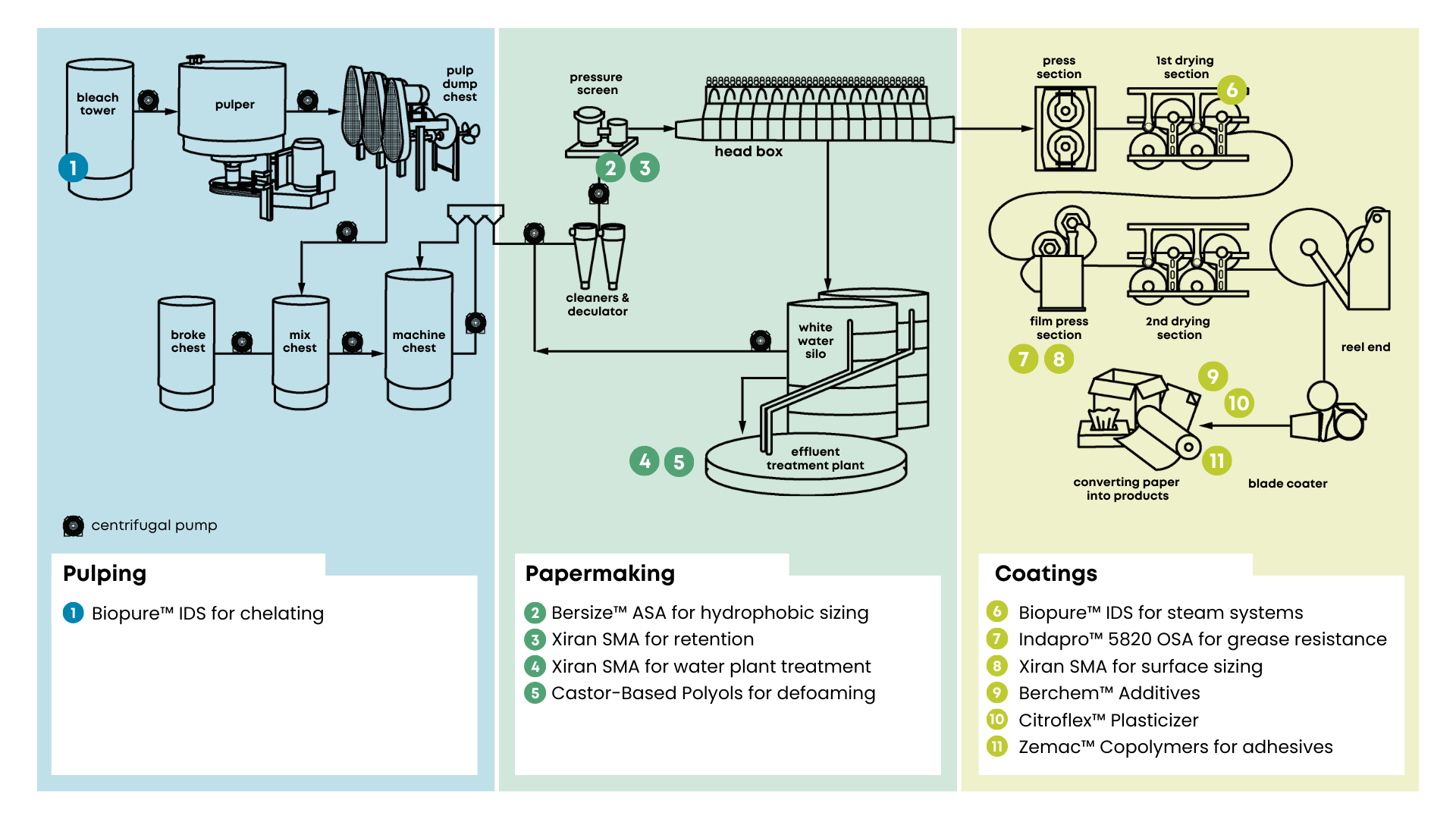 papermaking-process-overview-aurorium